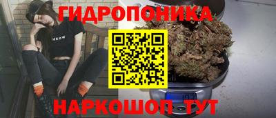 PSILOCYBIN Кинель
