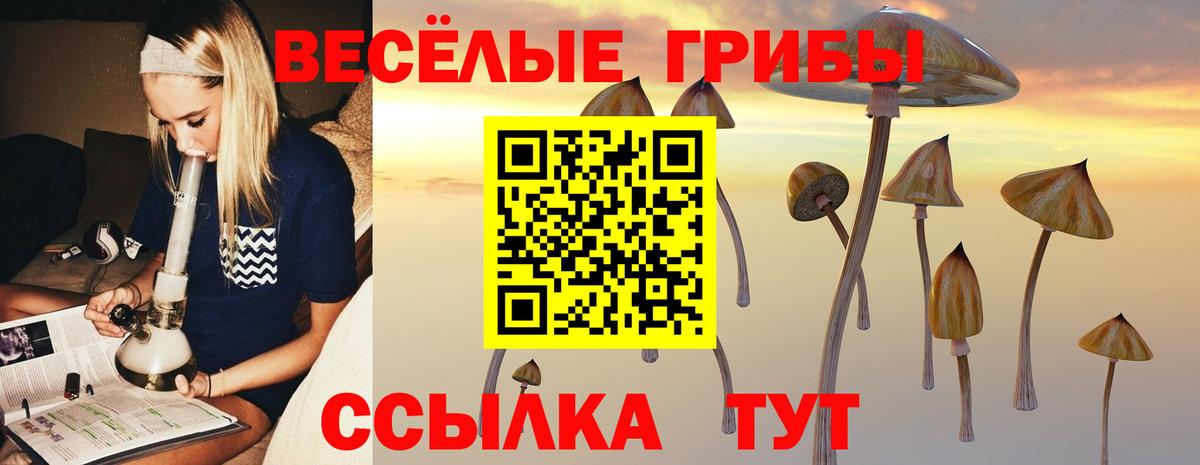 Псилоцибиновые грибы Psilocybine cubensis  Галлюциногенные грибы Magic Shrooms  Вход с VPN  Звенигород 