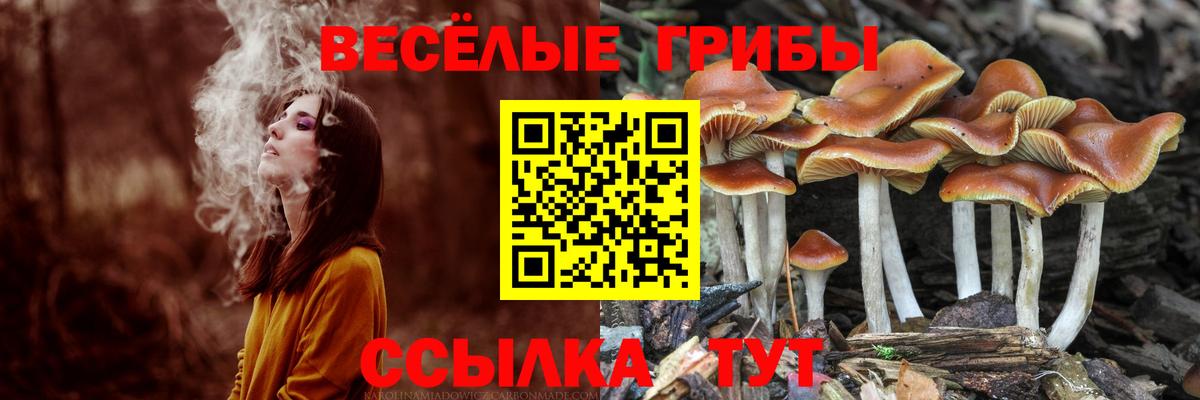 Галлюциногенные грибы ЛСД Звенигород